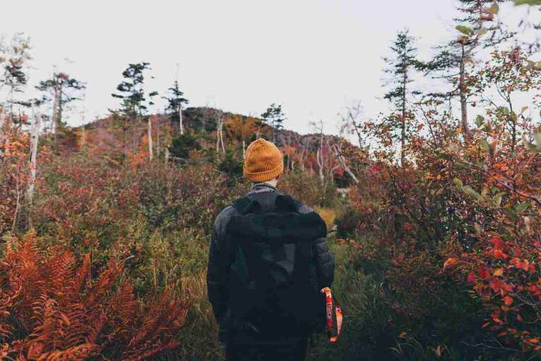 跑步锻炼方案，最佳跑步锻炼方法